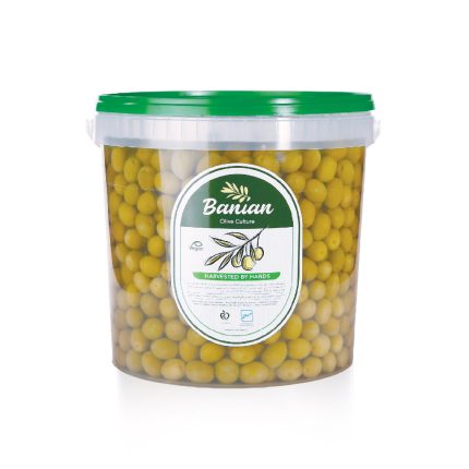 green olive whole